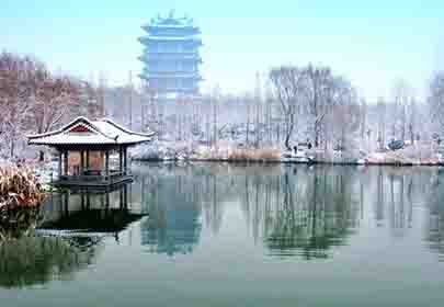 冬天，做个温暖的人，努力向阳生长